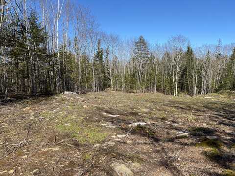 Lot 3 Shattucks Luck Lane, Bristol, ME 04539