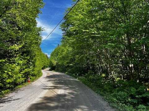 Lot 12-1 Shelton Trail, Rangeley Plt, ME 04970