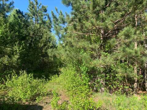 Lot 24 Grand View Drive, Dedham, ME 04429