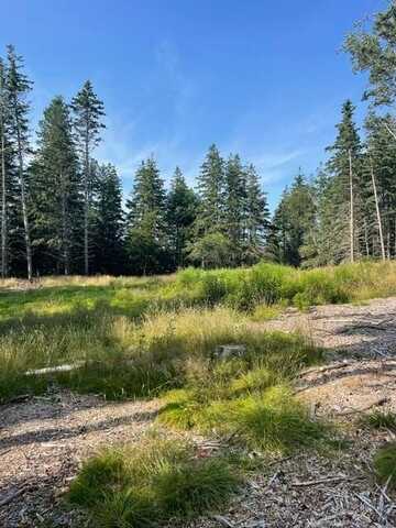 Lot 1 Sophies Way, Tremont, ME 04653