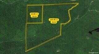 Lot 19&20 Mud Pond Road, Madrid Twp, ME 04966