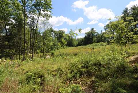 Lot 13-1 Wiley Road, Greene, ME 04236