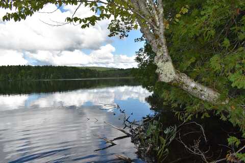 Lot 17 Town Farm Road, Lincoln, ME 04457