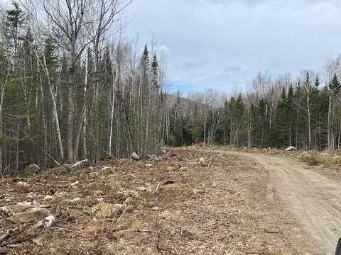 Lot 117 Big Snow Way, Rangeley, ME 04970