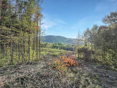 Lot # 2 Eaton Hill Road, Rumford, ME 04276