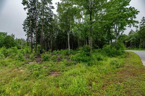 Lot 45 Estates Road, Steuben, ME 04680