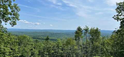 Lot #42b-1 Bear Trap Road, Bridgton, ME 04029