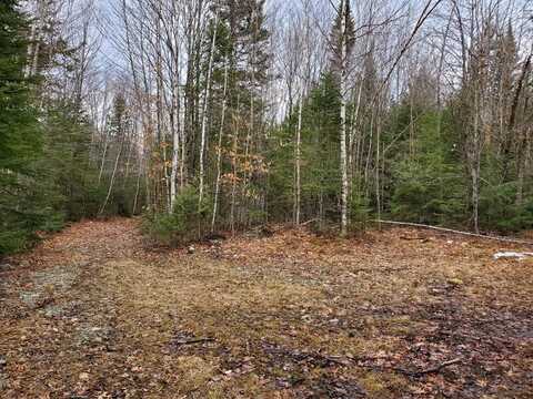 Lot I Partridge Lane, Medford, ME 04463