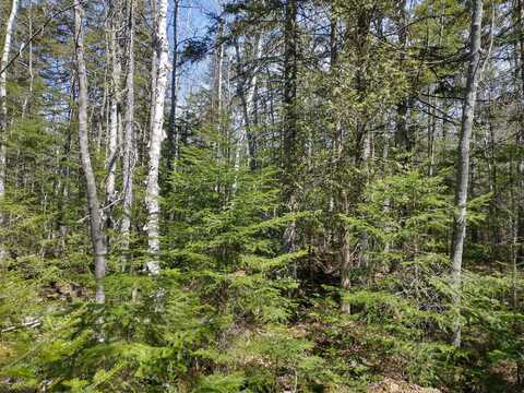 Lot 31-2 Bemis Road, Rangeley Plt, ME 04970