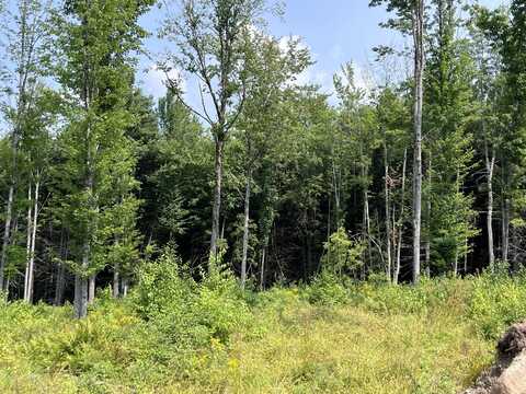 Lot #2 Jordan Heights Road, Cornish, ME 04020