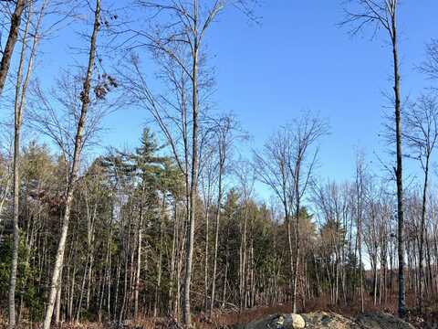 Lot #2 Jordan Heights Road, Cornish, ME 04020