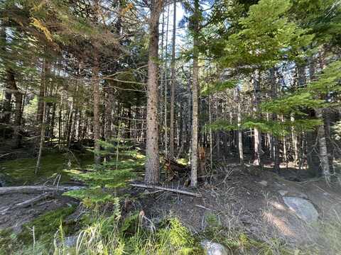 Lot #47 Old Wagon Road, Roque Bluffs, ME 04654