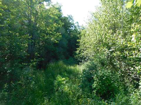 Lot # 000 Mill Street, Lagrange, ME 04453