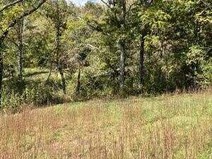 Lot 22 Grandview Dr., FOREST HILL, WV 24935