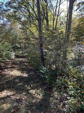 Lot 23 Grandview Dr., FOREST HILL, WV 24935