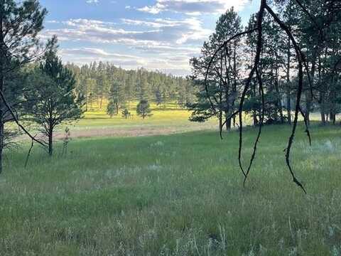 25236 Lower French Creek Road, Custer, SD 57730