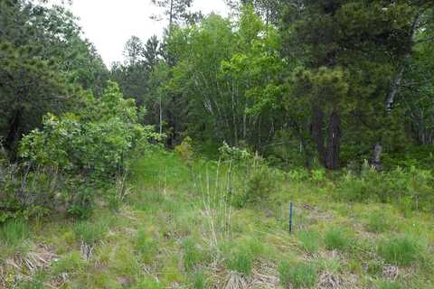 Lot 14 Monte Carlo Road, Lead, SD 57754