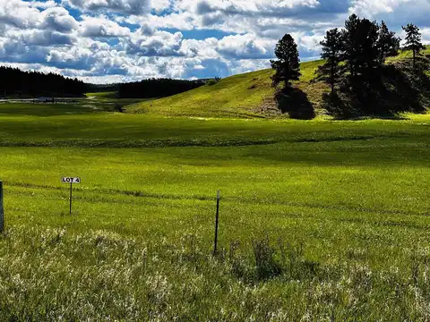 Lot 4 McVey RD, Hill City, SD 57745