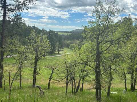 Valley View Trackers Trail, Keystone, SD 57751