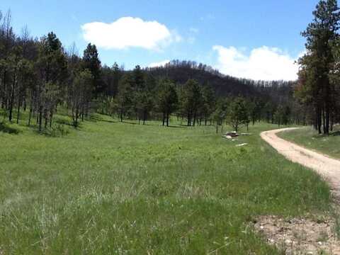 TBD Song Dog Road, Custer, SD 57730