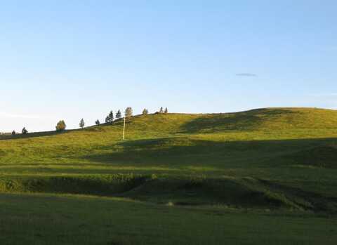 Lot 1 McVey RD, Hill City, SD 57745