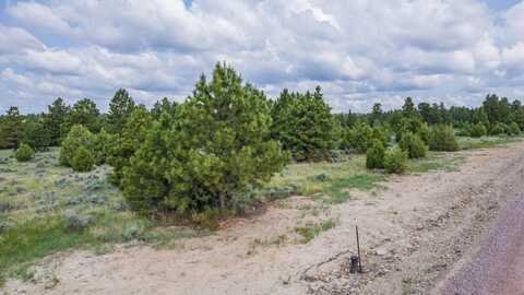 Lot 4 Sunset Ridge Road, Newcastle, WY 82701