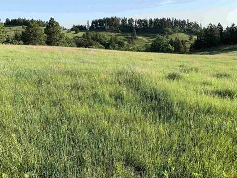 Lot 37 Prairie View Road, Whitewood, SD 57793