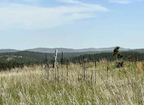 Lot 3D & 3C Hwy 40, Keystone, SD 57751