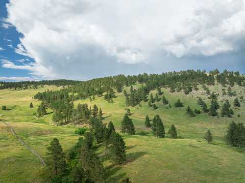 TBD RR Cobb Road, Custer, SD 57730