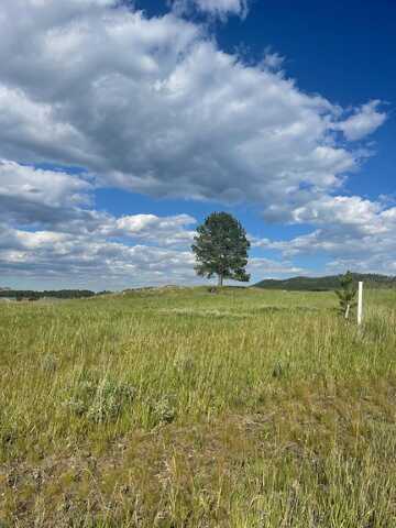 Lot 24, Block 1 Park Avenue, Custer, SD 57730