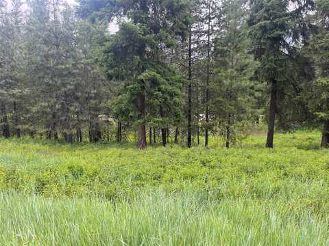 Lot 5 Mossy Oak Court, Thompson Falls, MT 59873