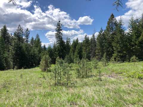 1 Cripple Horse Creek Road, Libby, MT 59923