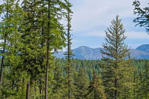 429 Chief Cliff Trail, Bigfork, MT 59911