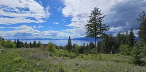 31714 Twinflower Lane, Bigfork, MT 59911