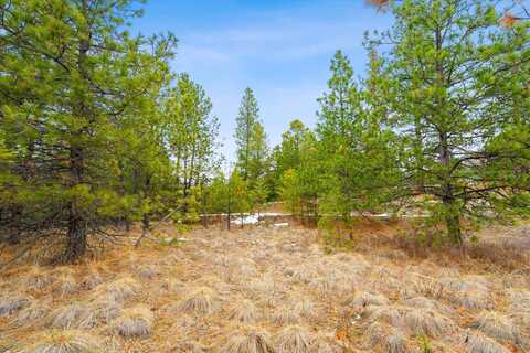 31009 Canyon View Place, Polson, MT 59860