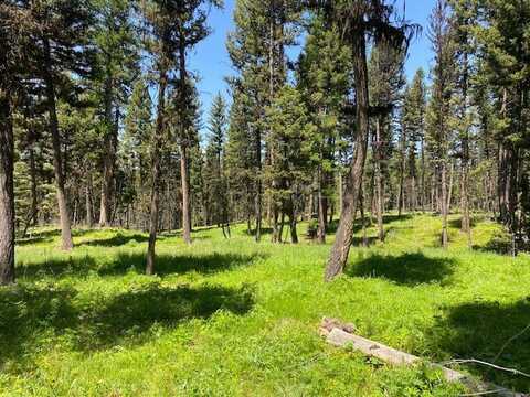 167 Telemark Way, Seeley Lake, MT 59868