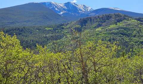 Nhn Alpha Lode & Alpha Fraction Lode, Alpha Trail, Anaconda, MT 59711