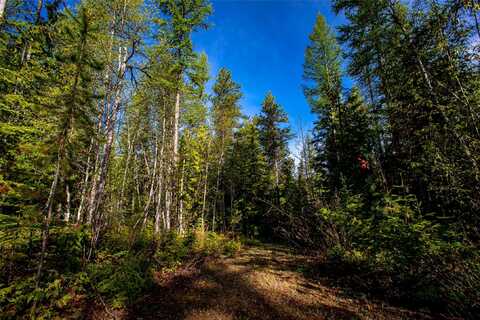 1360 Cameron Lane, Whitefish, MT 59937