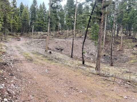 170 Leota Peak Court, Seeley Lake, MT 59868