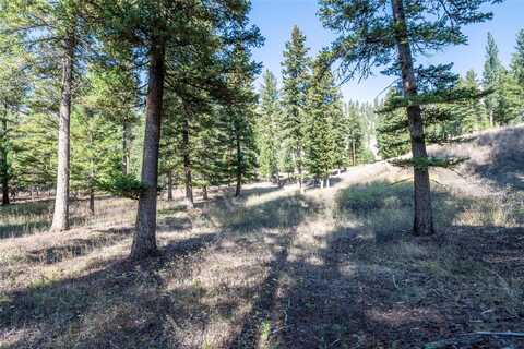 Lot 17 Caddisfly Court, Clinton, MT 59825