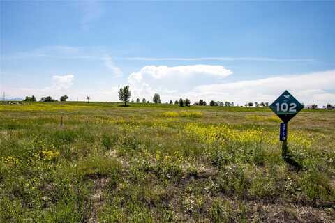 3750 Wolfwillow Court, Helena, MT 59602