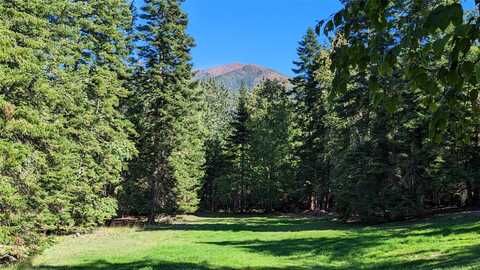 11552 S Whitetail Road, Bigfork, MT 59911