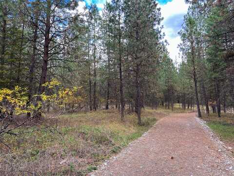 Nhn Farlan Lane, Thompson Falls, MT 59873