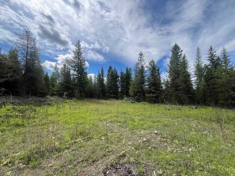 Nhn Lupfer Road, Whitefish, MT 59937