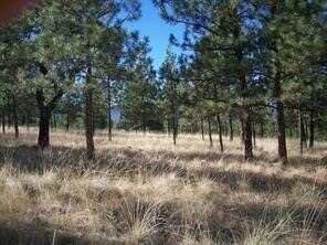 Lot 7 Loberg Road, Plains, MT 59859