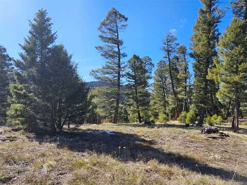 Nhn Elk Horn Lot 28, Helmville, MT 59843