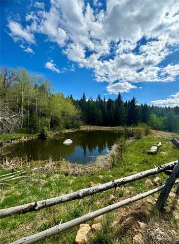 Nhn Perkins Gulch Road, Anaconda, MT 59711