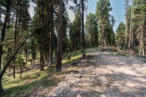 701 Evergreen Drive, Seeley Lake, MT 59868