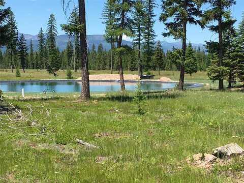 234 Mission Vista Lane, Swan Valley, MT 59826