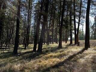 Lot 97 Crystal Lakes Drive, Eureka, MT 59917